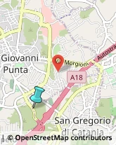 Feste - Organizzazione e Servizi,95027Catania