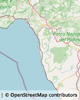 Calzaturifici e Calzolai - Macchine,85044Potenza