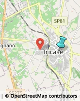 Locali, Birrerie e Pub,73039Lecce