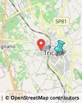 Locali, Birrerie e Pub,73039Lecce