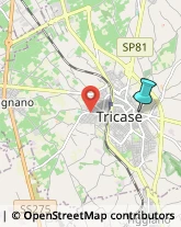 Locali, Birrerie e Pub,73039Lecce