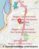 Veterinaria - Ambulatori e Laboratori,89121Reggio di Calabria