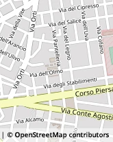 Via dell'Olmo, 48/50,91100Trapani