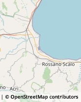 Ristoranti,87067Cosenza