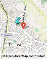 Consulenza Commerciale,73039Lecce