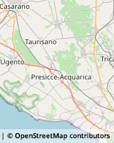 Viale Rimembranze, 67,73056Taurisano