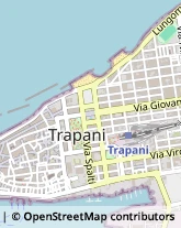 Partiti e Movimenti Politici,91100Trapani