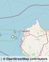 Partiti e Movimenti Politici,91025Trapani