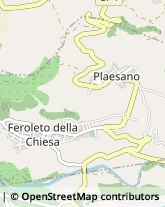 Strada Provinciale 4, Snc,89050Feroleto della Chiesa