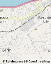 Via Dominici, 18,90044Carini