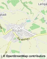 Via Roma, 98,89865Ricadi