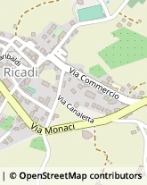 Via Commercio, 53,89866Ricadi