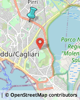 Disinfezione, Disinfestazione e Derattizzazione,09131Cagliari