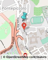 Palestre e Centri Fitness,88100Catanzaro