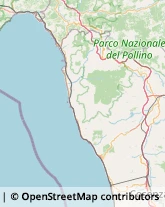 Autofficine e Centri Assistenza,87029Cosenza