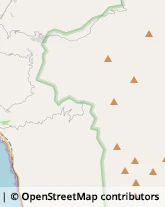 Zootecnia - Prodotti,87020Cosenza