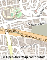 Via del Gelsomino, 37,89128Reggio di Calabria