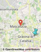 Professionali - Scuole Private,95030Catania