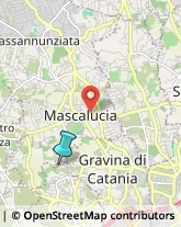 Professionali - Scuole Private,95123Catania