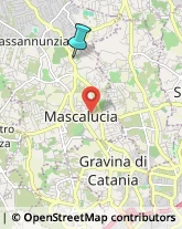 Professionali - Scuole Private,95030Catania