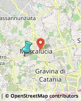 Professionali - Scuole Private,95030Catania