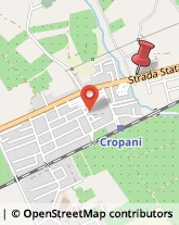 Viale Taranto, 56,88050Cropani