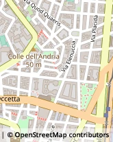 Via Placida, 11,98121Messina