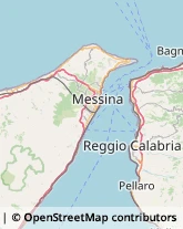 Pollame, Conigli e Selvaggina - Dettaglio,89018Reggio di Calabria