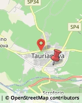 Via Virgilio, 11,89029Taurianova