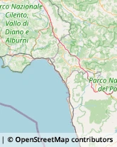 Motori Fuoribordo,87029Cosenza