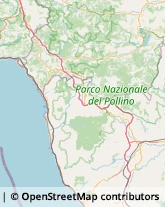 Via Biagio Rinaldi, 29,87029Scalea