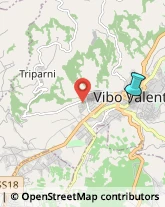 Agenzie Ippiche e Scommesse,89900Vibo Valentia