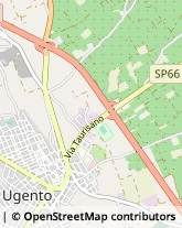 Via Taurisano, 79,73059Ugento