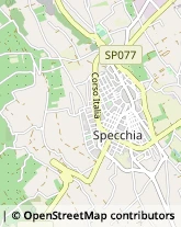 Via Vico Venuti, 2,73040Specchia