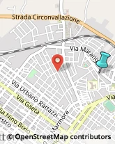 Feste - Organizzazione e Servizi,97019Ragusa