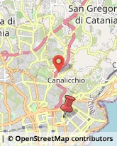 Viale Vittorio Veneto, 184,95127Catania