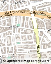 Viale Pio XI, 54/A,89133Reggio di Calabria