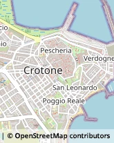 Piante e Fiori Artificiali - Dettaglio,88900Crotone