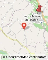 Strada Cavaliere Bosco, 19,95038Santa Maria di Licodia