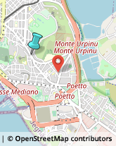 Agenti e Rappresentanti di Commercio,09126Cagliari