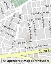 Via Dell'Olmo, 47,91100Trapani