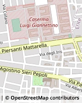 Via degli Iris, 2/1 D,91100Trapani