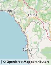 Via Giuseppe Mazzini, 20,87029Scalea