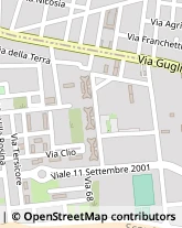 Alimenti Surgelati - Dettaglio,91100Trapani