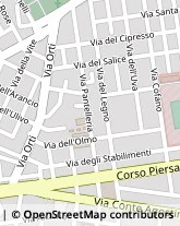 Via dell'Olmo, 48/50,91100Trapani