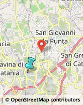 Palestre e Centri Fitness,95030Catania