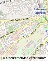 Via giovanni Dotto, 13,90128Palermo