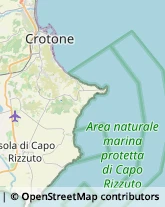 Pesce - Lavorazione e Commercio,88900Crotone