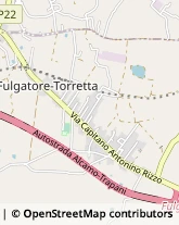 Consulenza Agricoltura e Foresta,91100Trapani