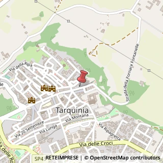 Mappa Via Alberata Dante Alighieri, 18, 01016 Tarquinia, Viterbo (Lazio)